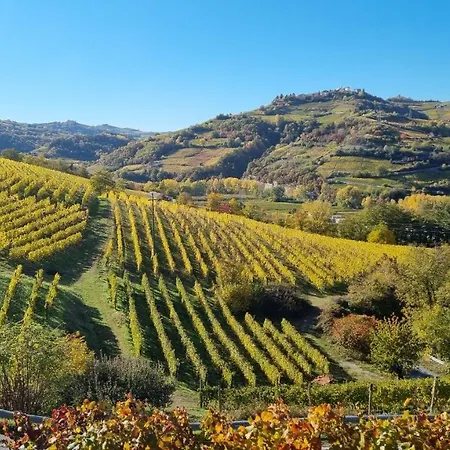 Ca Ed Giuanoto Daire *