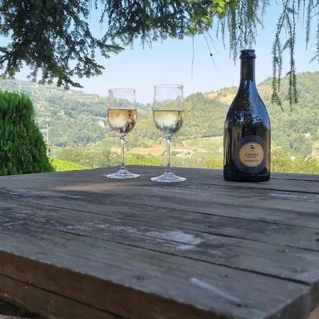 Ca Ed Giuanoto Daire *